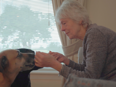 Elderly woman sitting down giving fuss to two dogs, one brindle and one black dog.