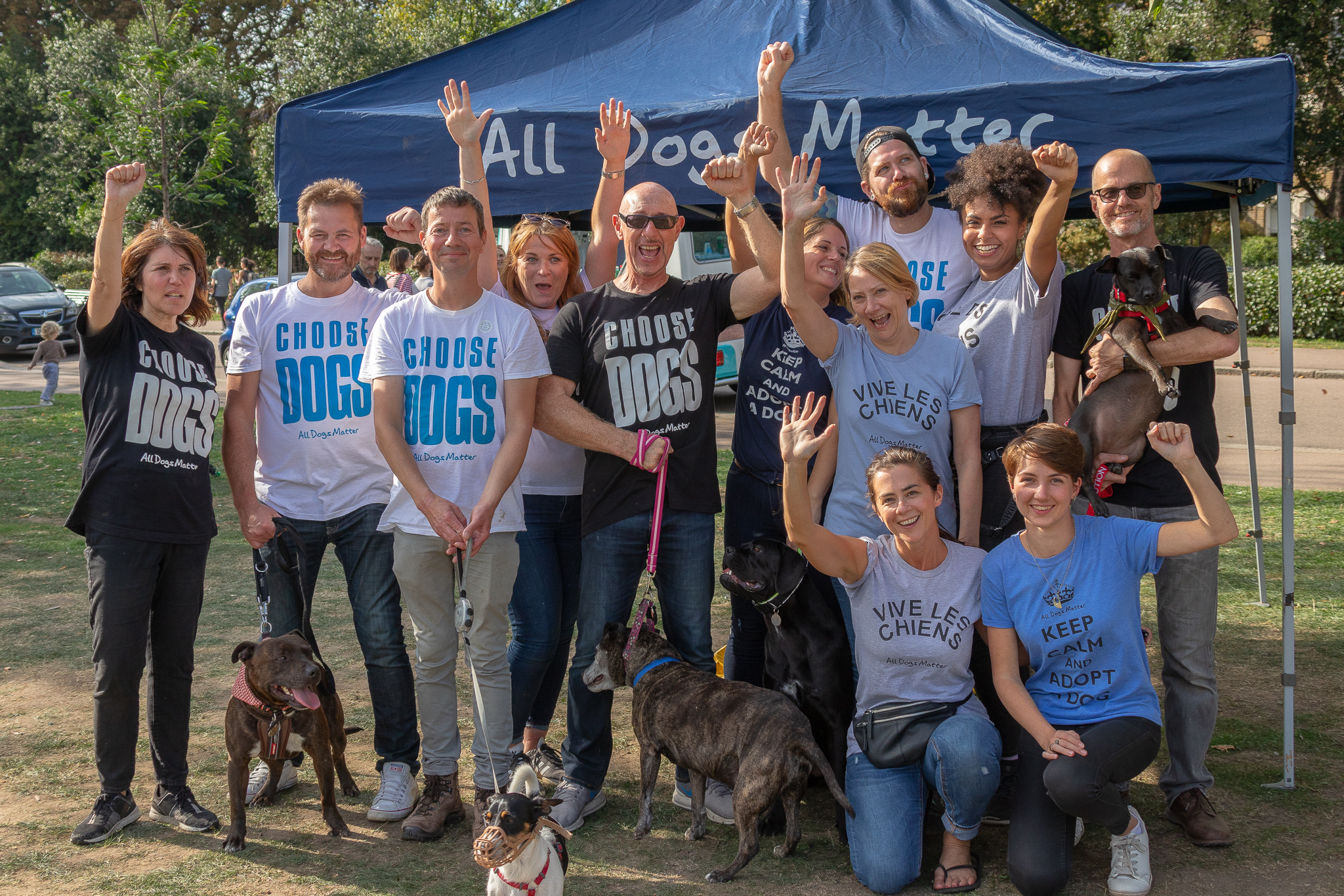 all dogs matter rehoming