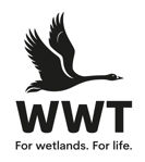WWT – The Wetland Charity  logo